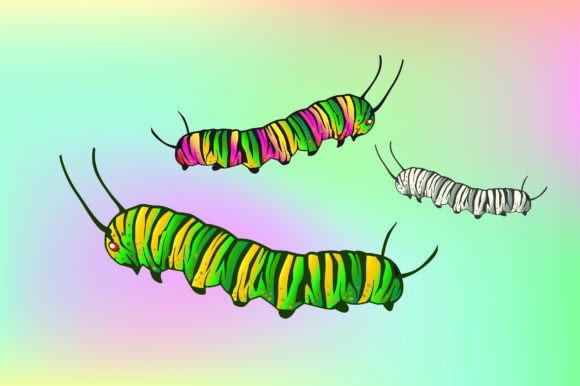 Beautiful Caterpillars Vector Illustrations for Designers